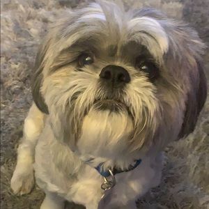 Meet your Posher, Kaivon